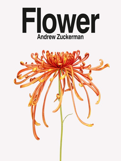 Title details for Flower by Andrew Zuckerman - Available